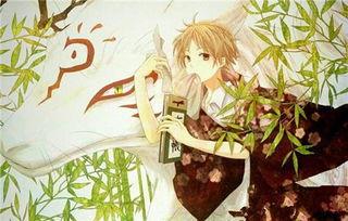 夏目友人帐 第六季,守护与传承的羁绊之旅 第2张 夏目友人帐 第六季,守护与传承的羁绊之旅 第2张