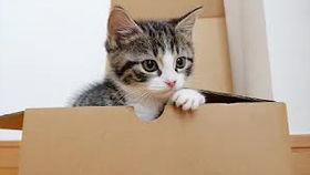 女婿驾到通通闪开,众星拱月，家族盛宴即将开启  第3张