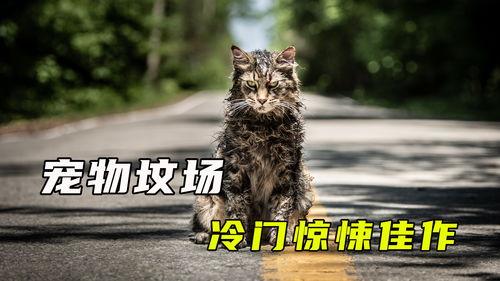 宠物坟场 2023,宠物坟场,哀悼与反思的宠物生命挽歌 第2张 宠物坟场 2023,宠物坟场,哀悼与反思的宠物生命挽歌 第2张