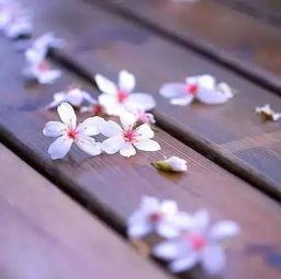 时光左右都是你,爱意永恒——左右相伴的浪漫时光