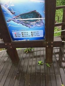 迟来的通道,揭秘时间错位的奥秘