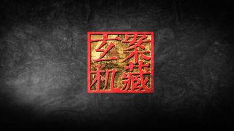 天网：“案”藏玄机,案中藏玄机，智慧追踪显神威  第2张