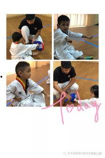 解除跆拳道的诅咒,探寻武术之道的解脱之路