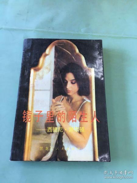 镜中陌生人,探寻陌生人的内心世界  第2张