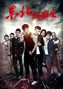 东北插班生,融入异乡的青春足迹  第3张